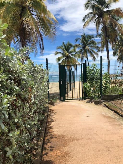 Appartement Soleiade Le Gosier - Acces Le Gosier (Grande-Terre)